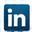 LinkedIn Icon